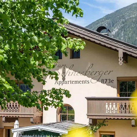 Ferienwohnung Schneeberger 3 Appartamento *