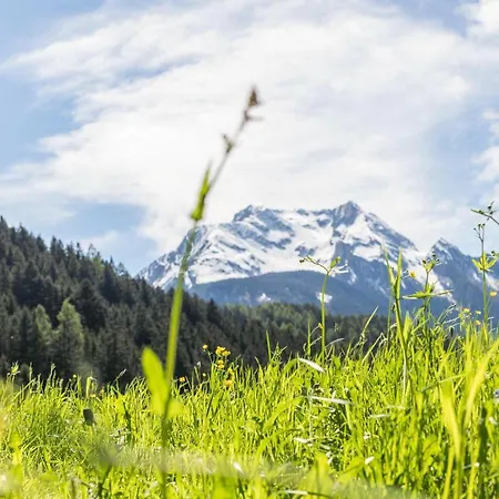 Appartamento Ferienwohnung Schneeberger 3 *